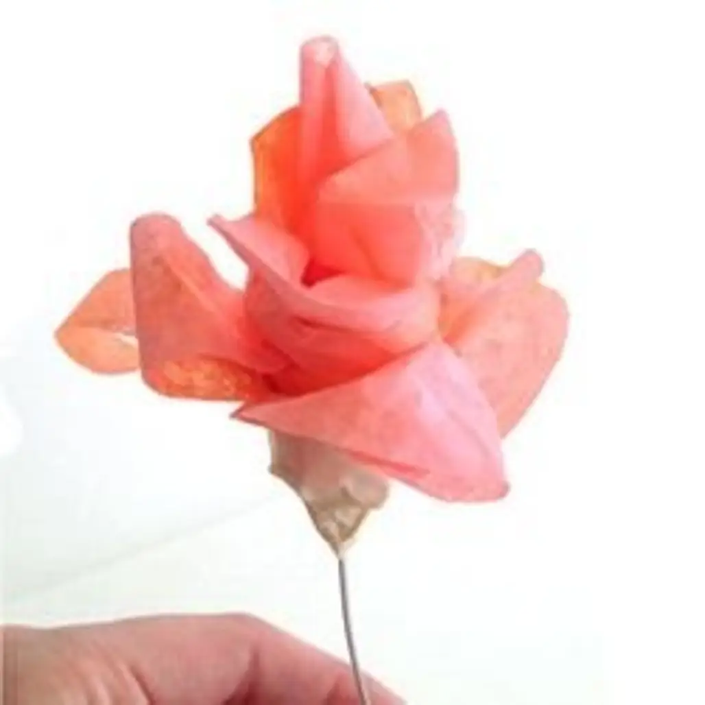 Learn How to Make a Few Different Flowers with Coffee Filters and Cupcake Wrappers!