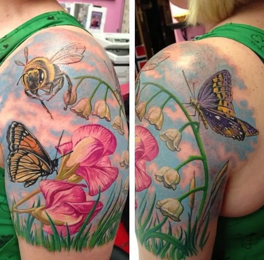 Butterflies, Flowers, Bees