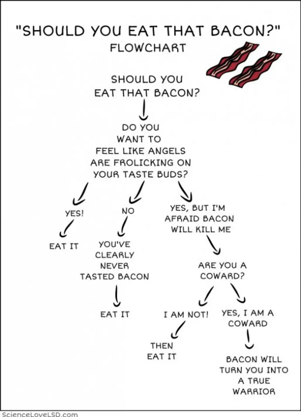 Should You Eat That Bacon? 1