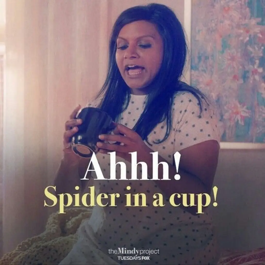 Spider in a Cup