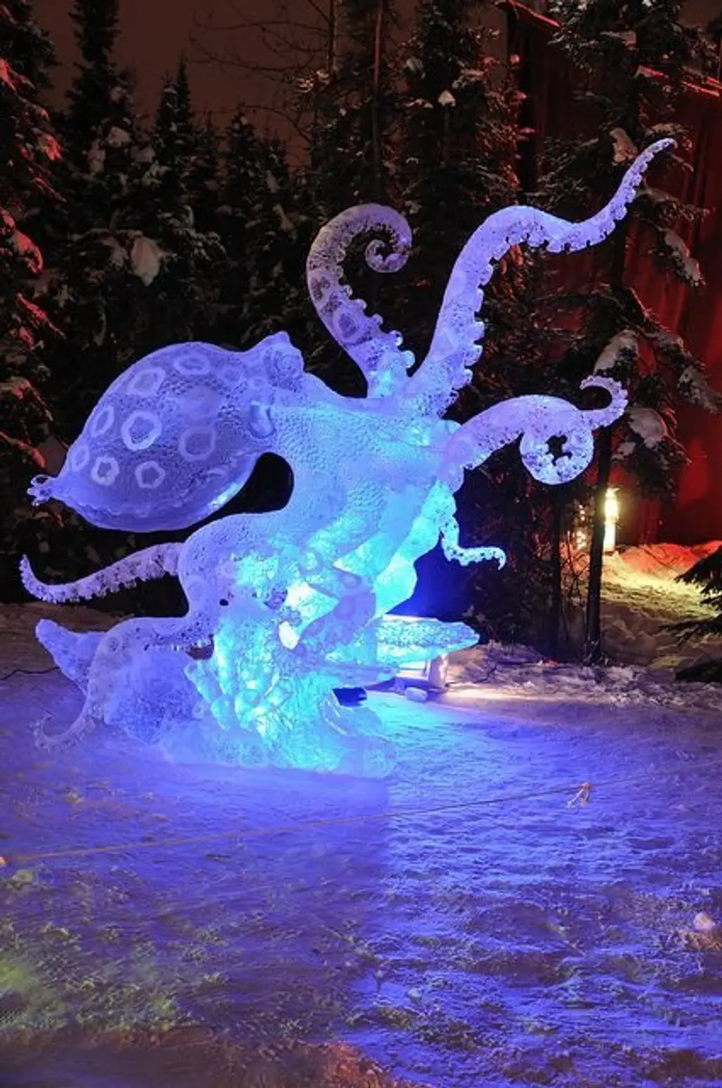 Gary Whitton. "Blue Ring Octopus" Ice Sculpture, 2010 World Ice Art Championships in Fairbanks, Alaska