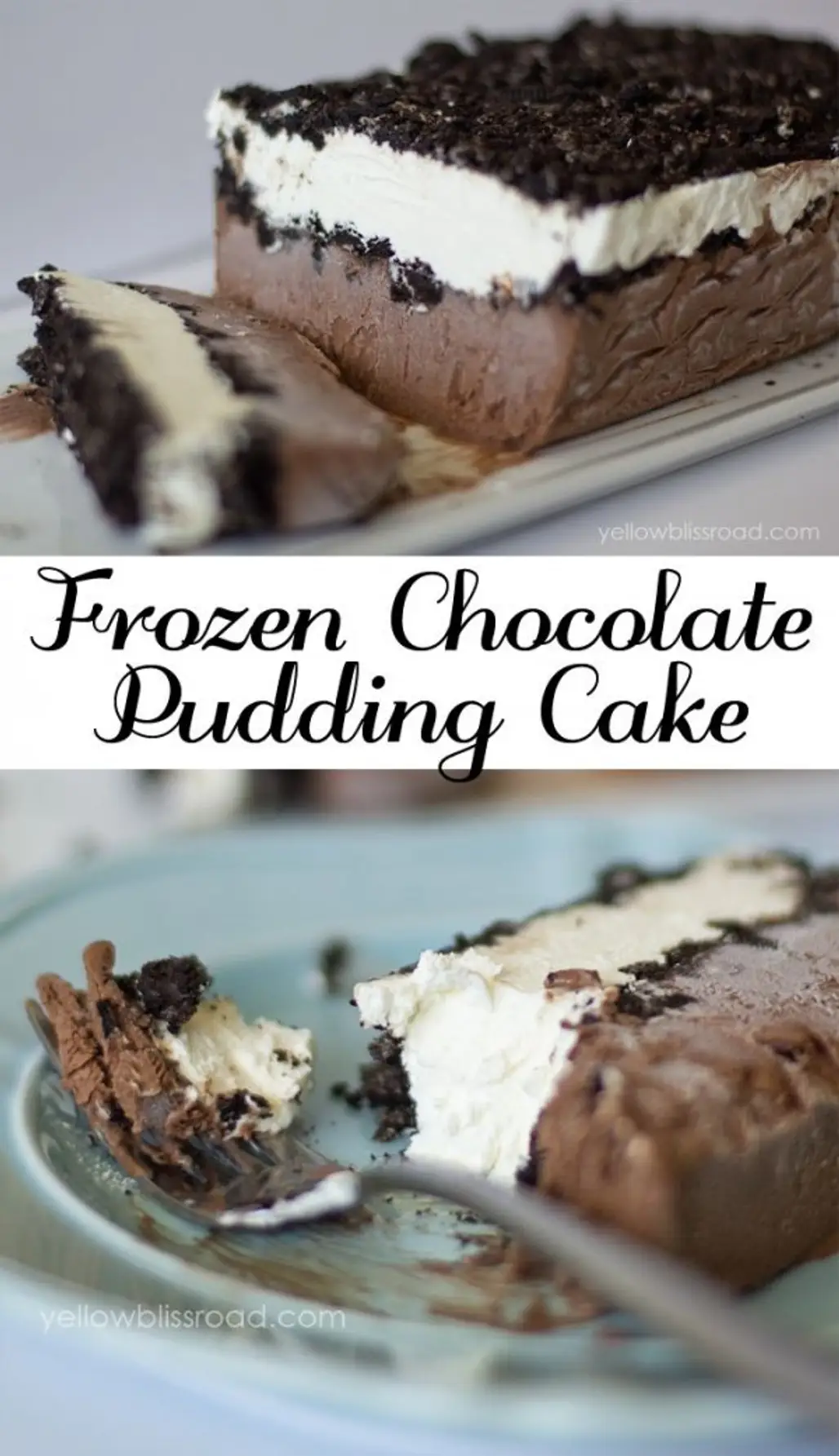 Frozen Chocolate Pudding Cake