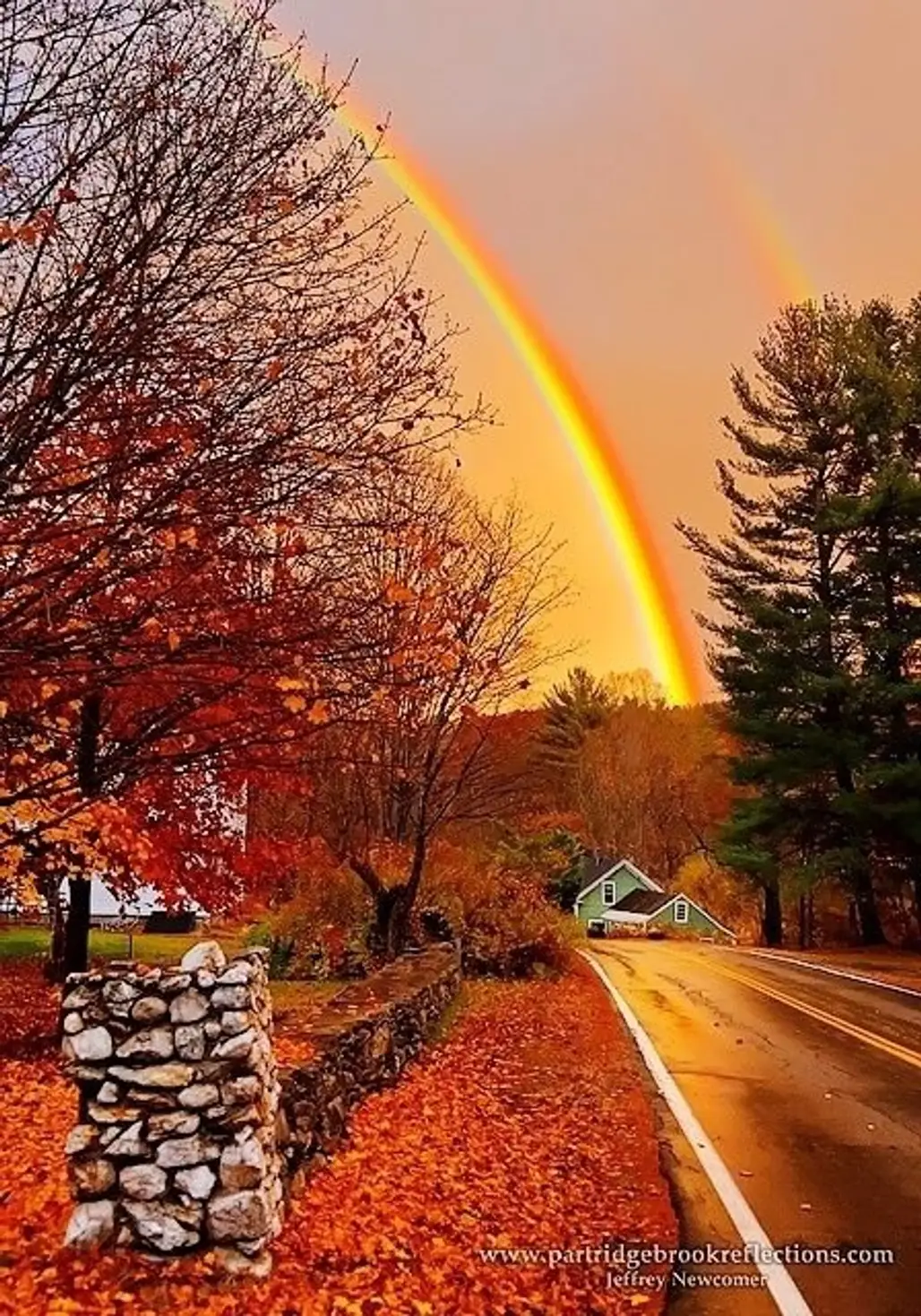 Fall Rainbow