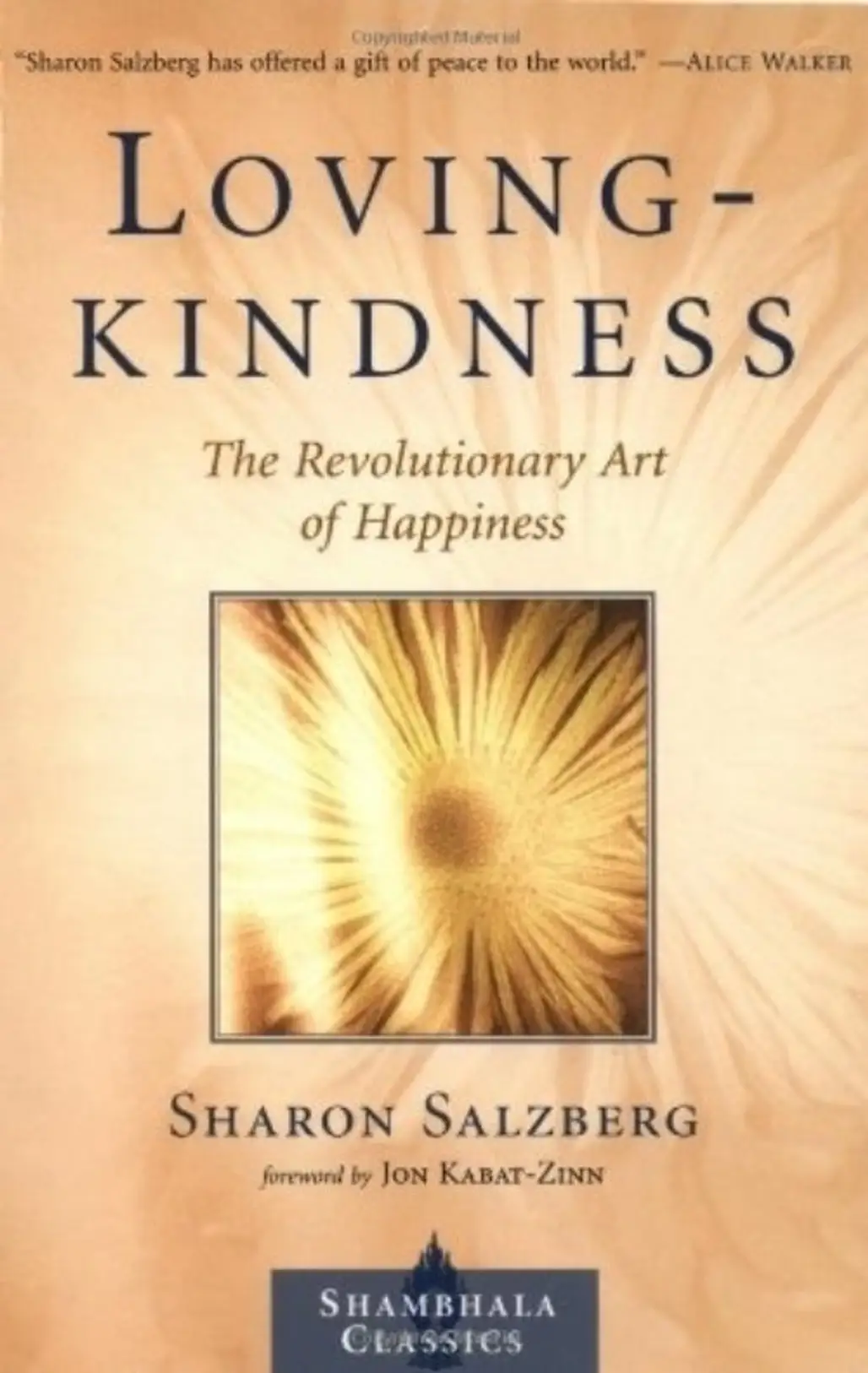 Loving Kindness: the Revolutionary Art of Happiness by Sharon Salzberg