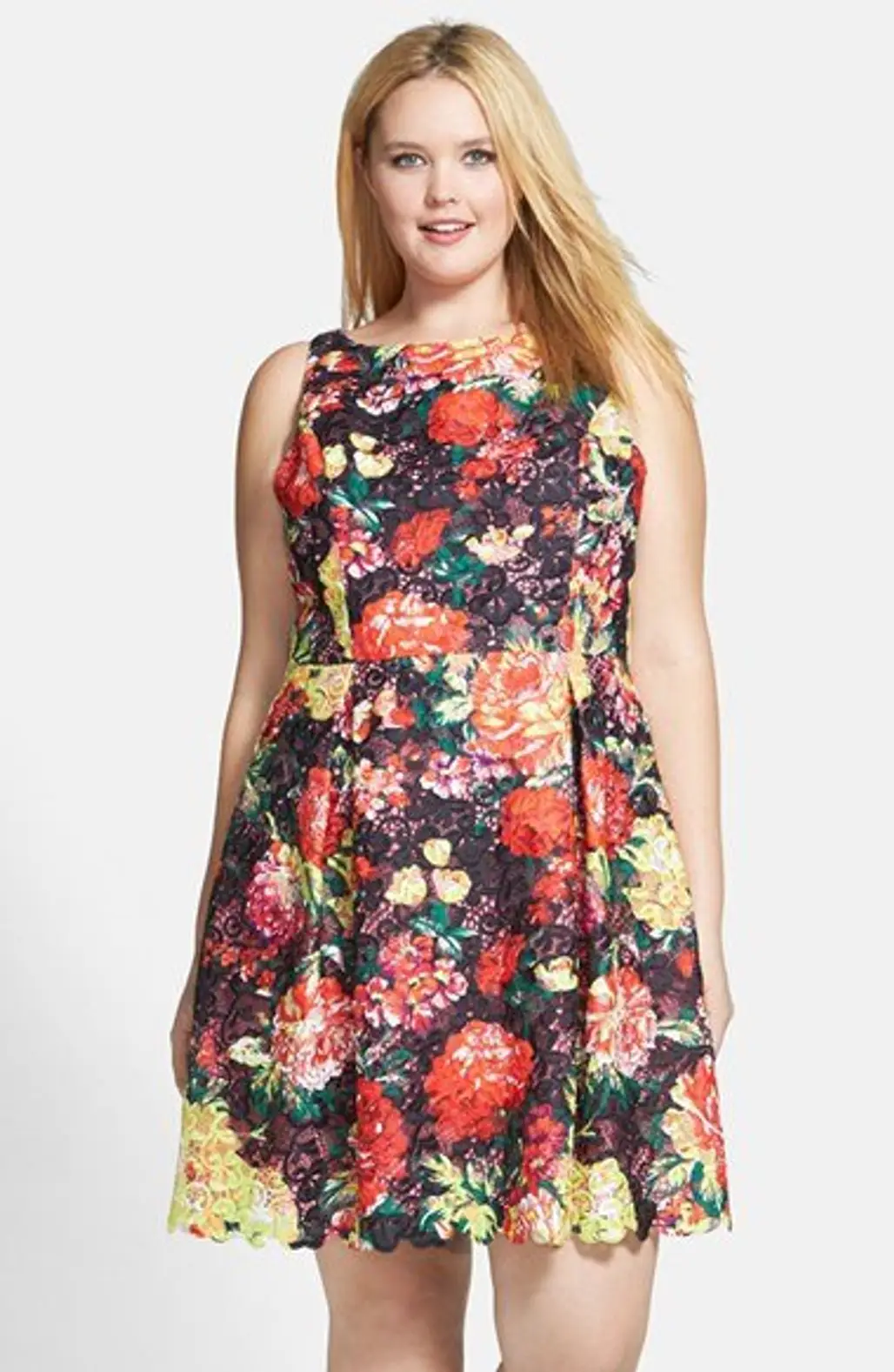 Adrianna Papell Print Lace Fit & Flare Dress (plus Size)