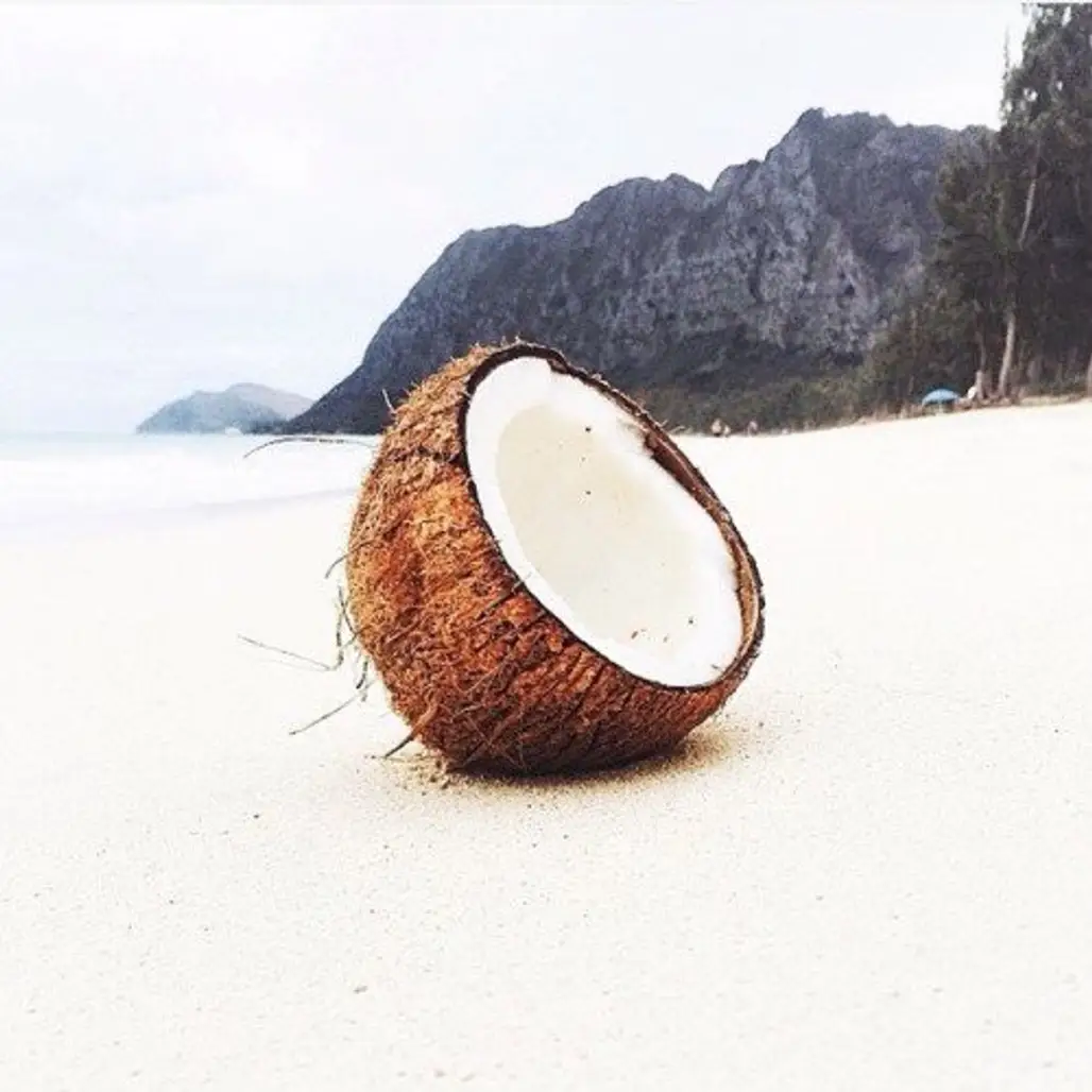 Drink Coconut Water to Stay Alert and Hydrated Throughout the Day