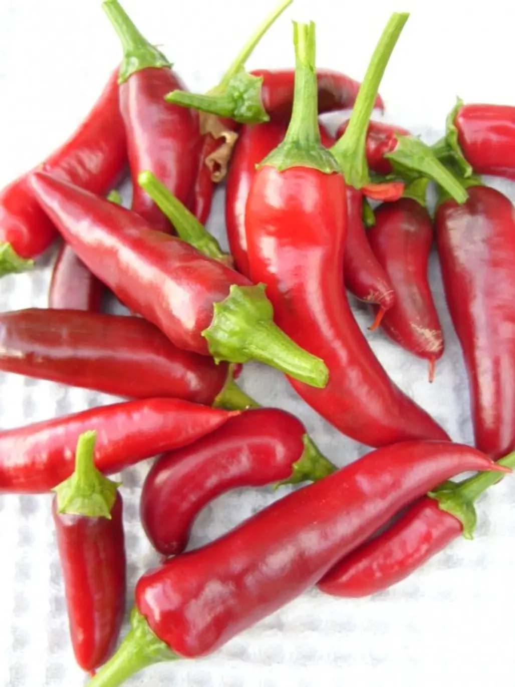 malagueta pepper,food,peperoncini,chili pepper,produce,