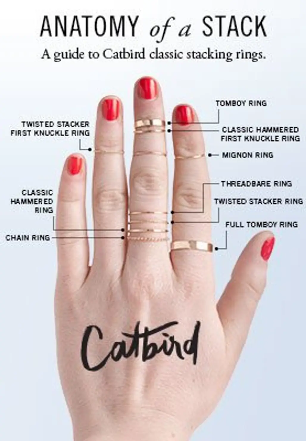 Catbird,finger,nail,hand,arm,