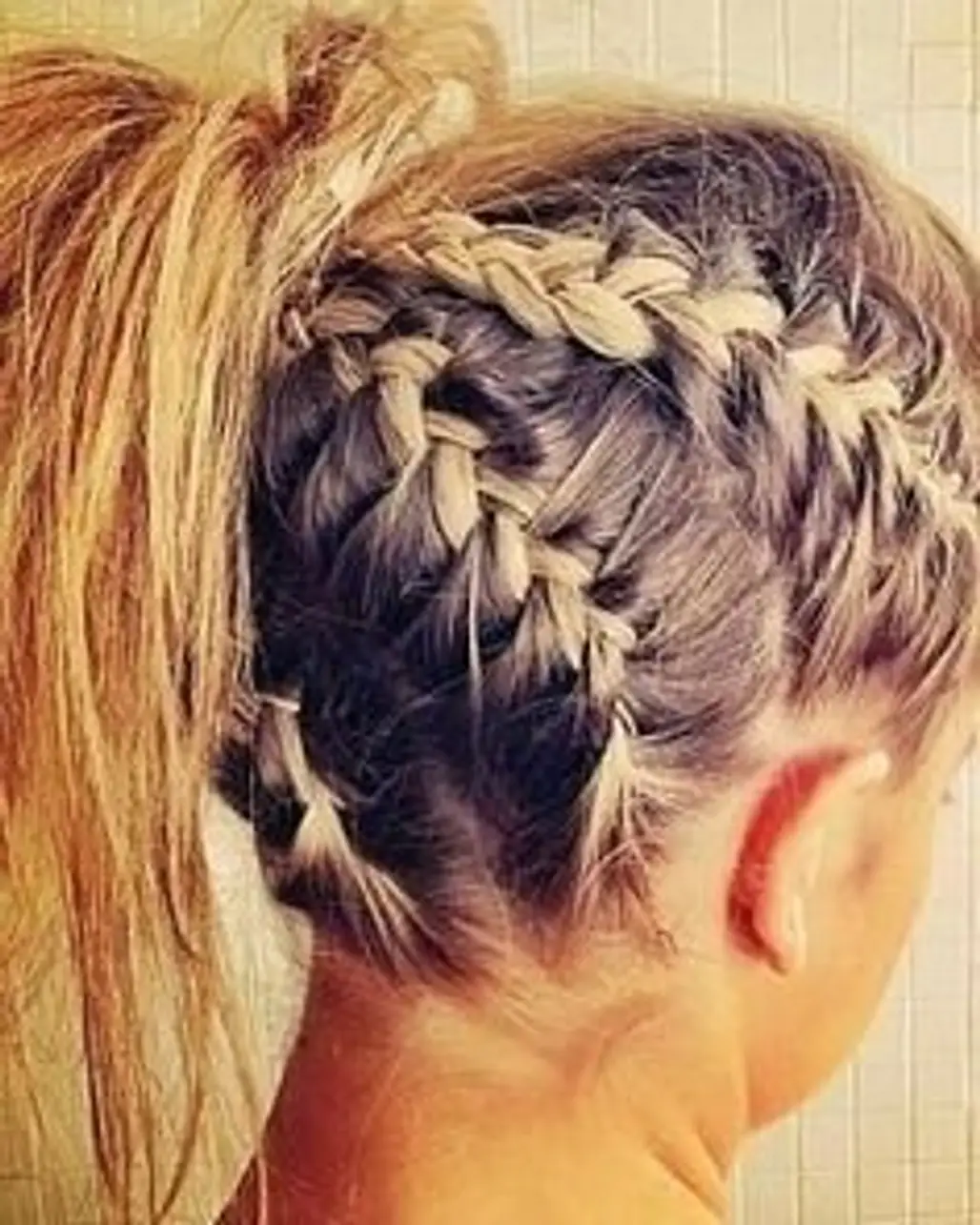 hair,hairstyle,face,braid,french braid,
