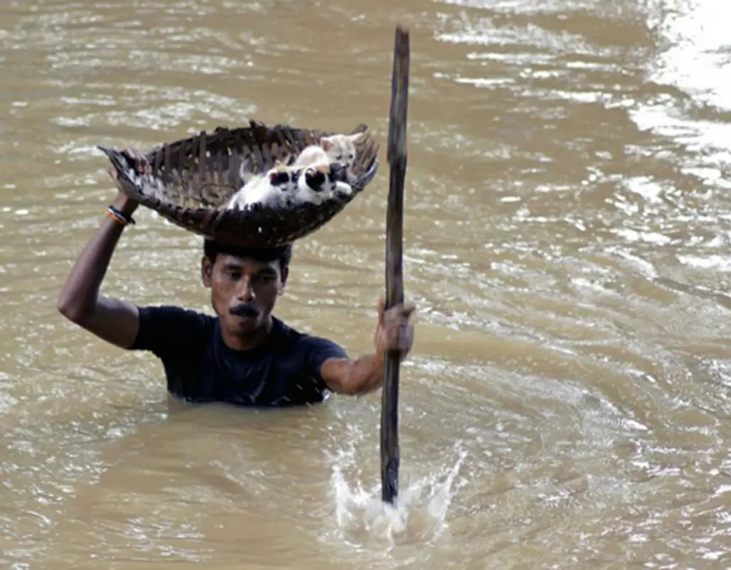 People Help Animals, Even when Life is Bleak…