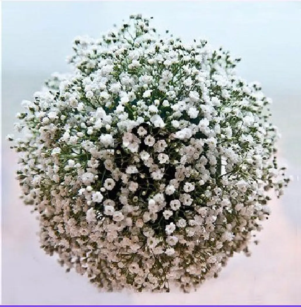 How to Make a Fresh Baby's Breath Flower Ball