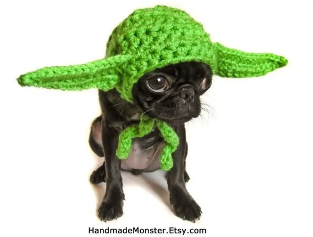Yoda Inspired STAR WARS Hat