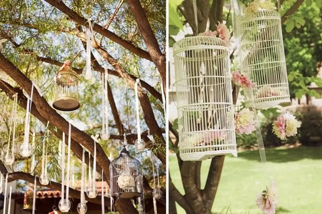 Birdcages Are Perfect