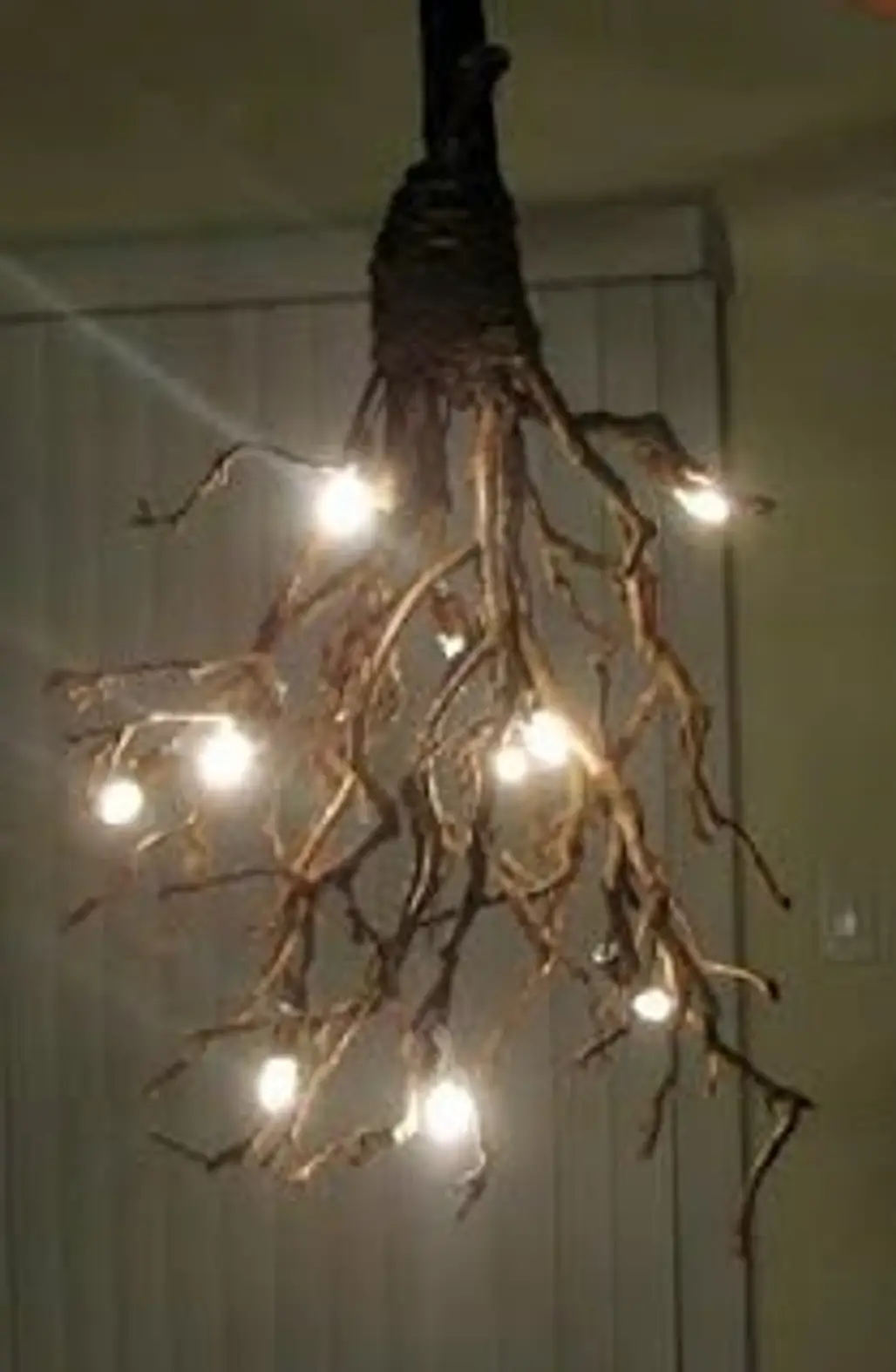 Driftwood Ceiling Light