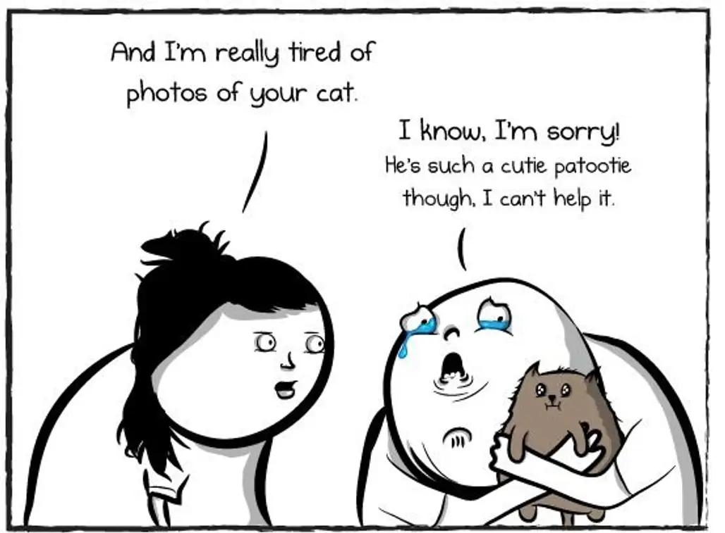 Cat Photos