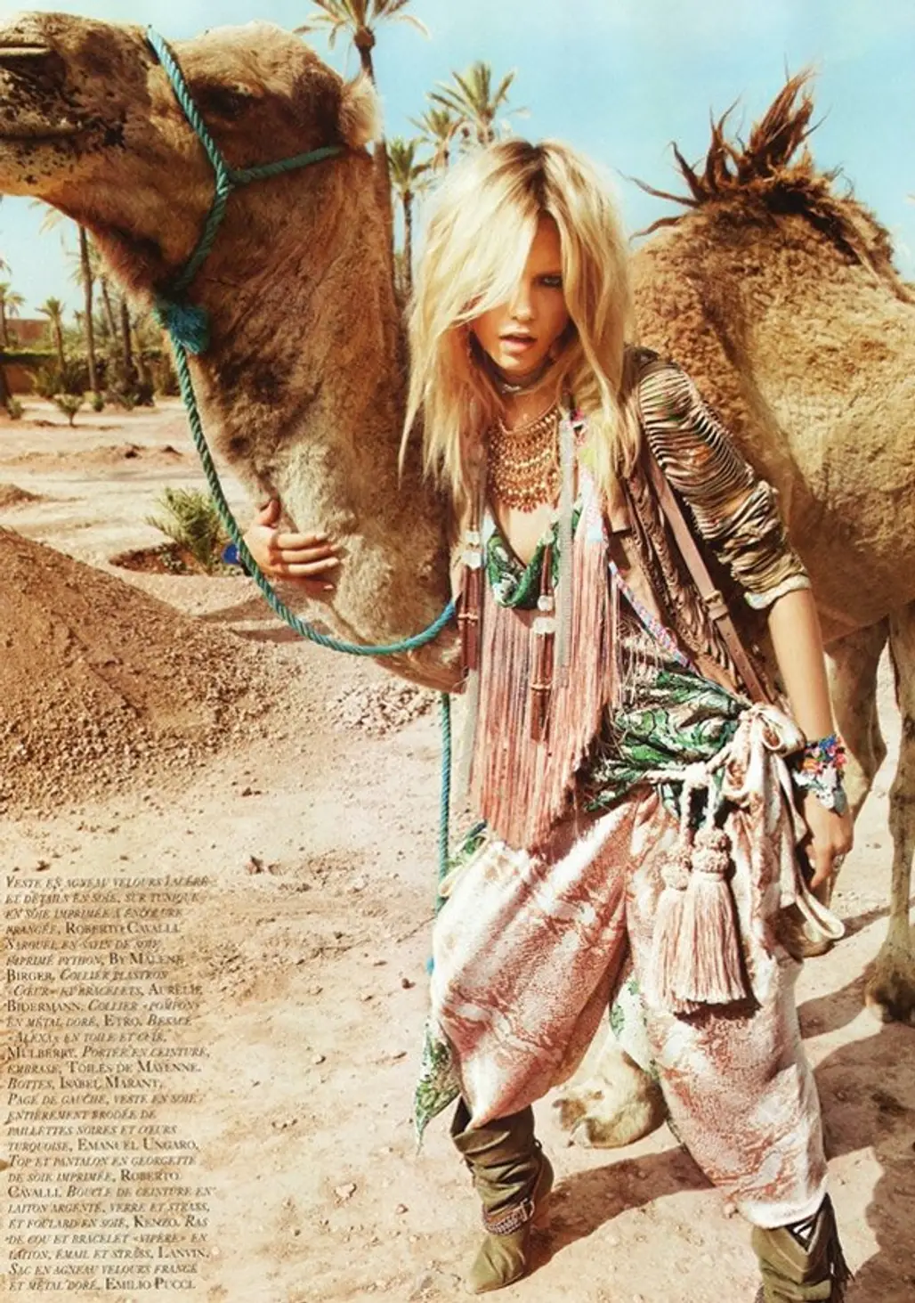 Ride a Camel across a Desert
