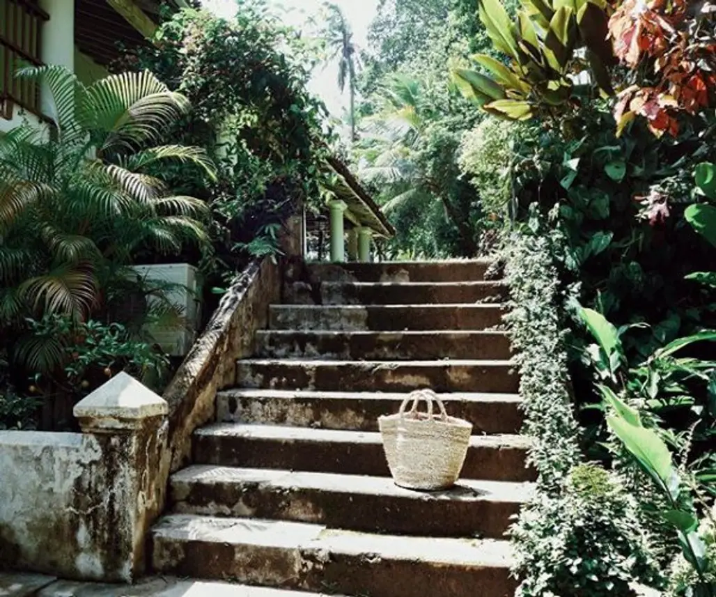 walkway, garden, stairs, flooring, yard,