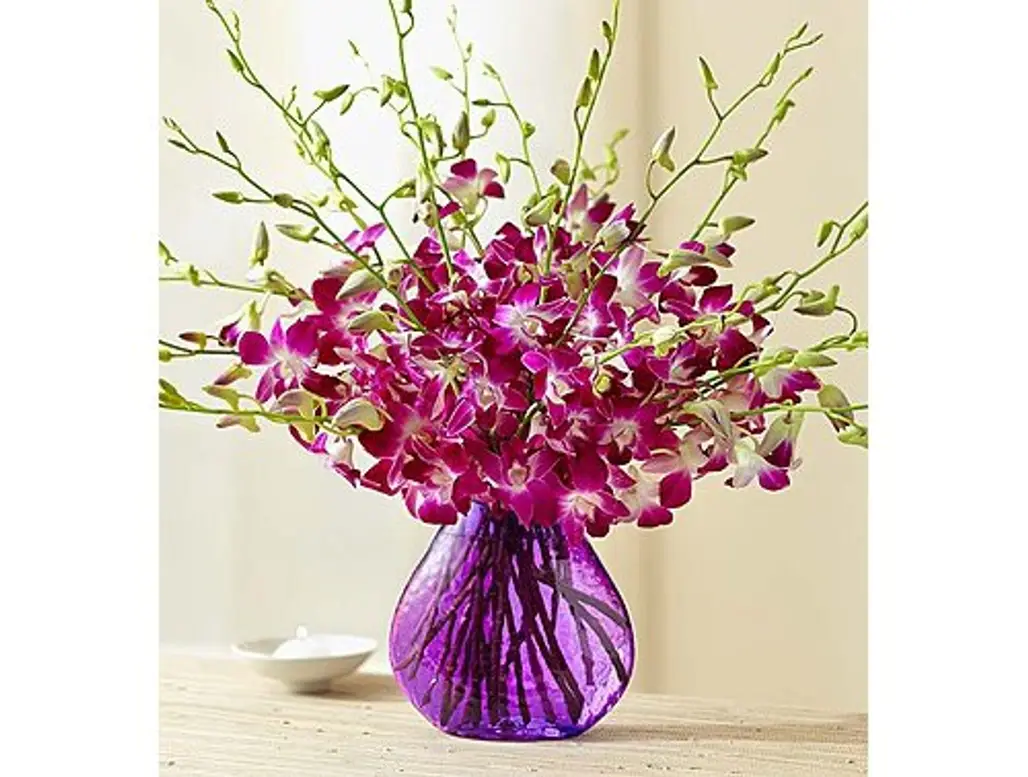 flower arranging,flower,cut flowers,plant,violet,