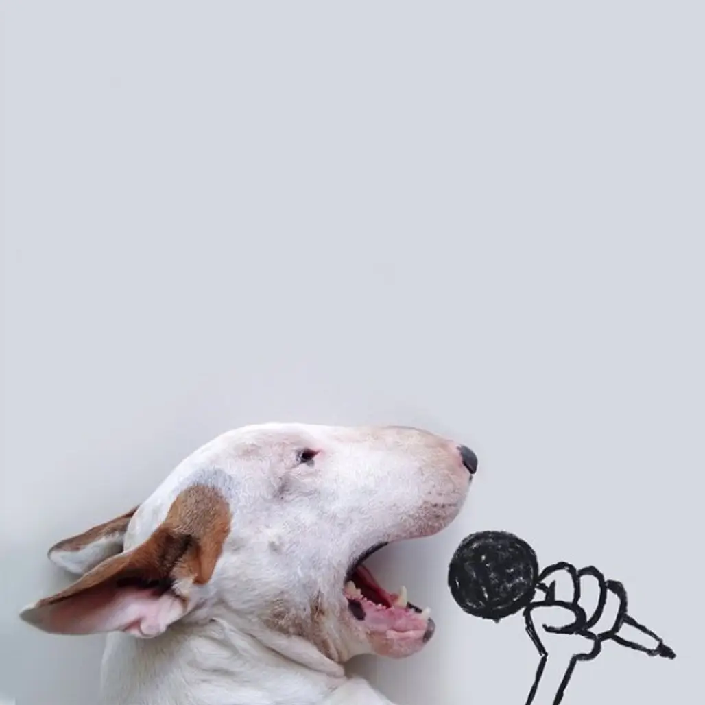 Sing It!