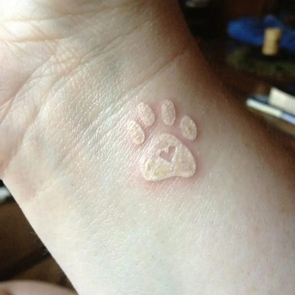 White Ink Paw Print with Heart
