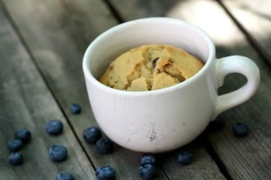 Blueberry Flaxseed Microwave Muffin