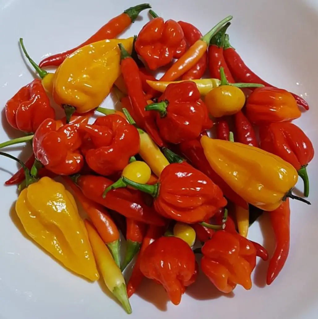food, peperoncini, peppers, chili pepper, cayenne pepper,