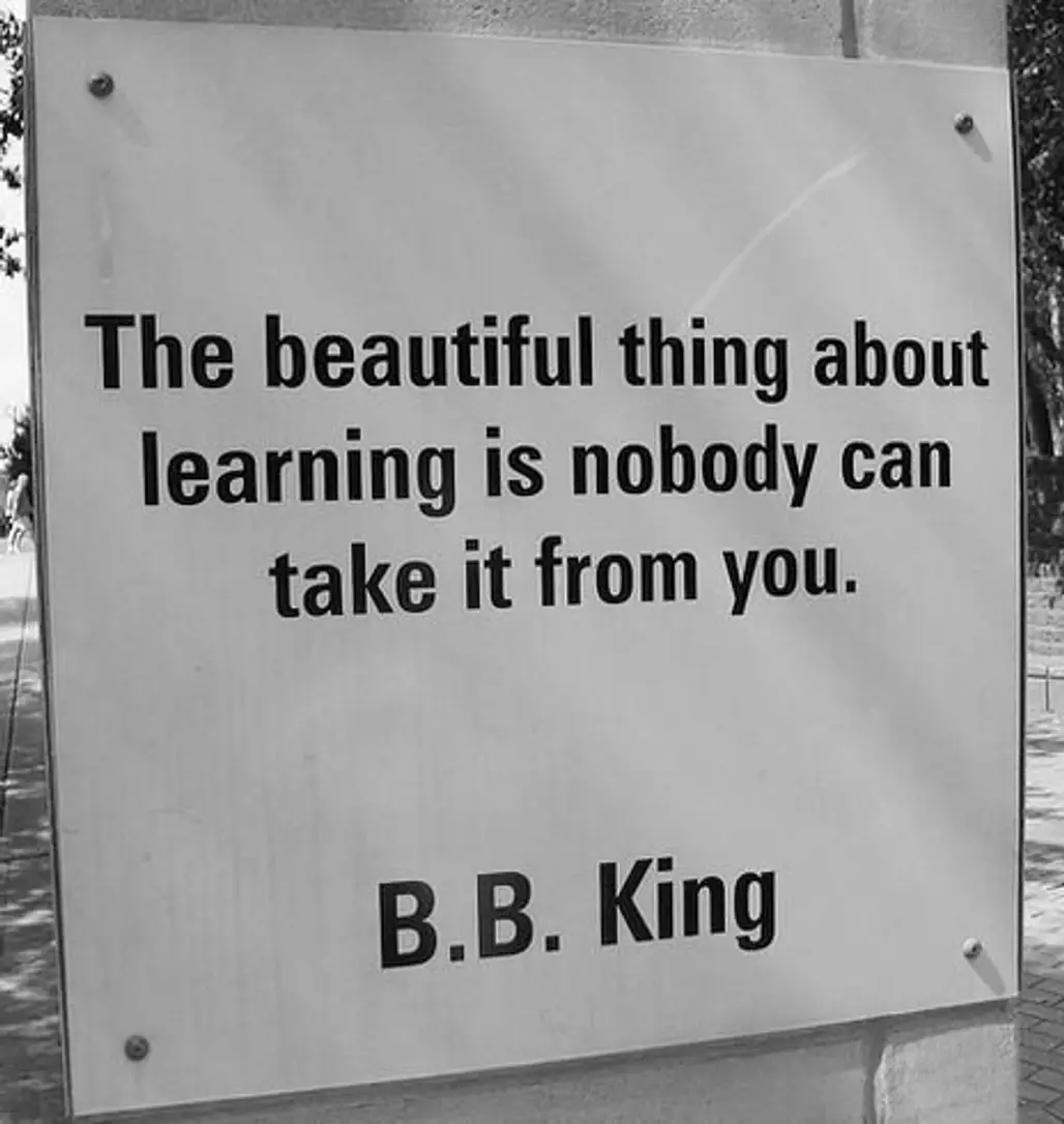 B.B. King - Musician