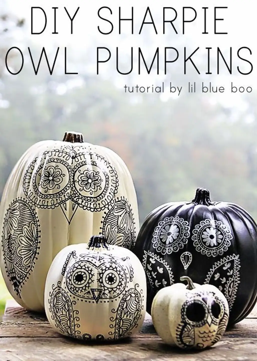 DIY Sharpie Owl Pumpkins