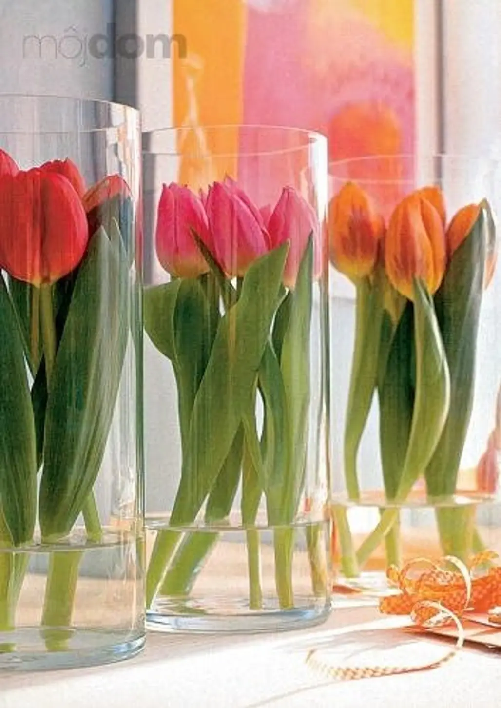 Tulips Surrounded by Cylindrical Vase