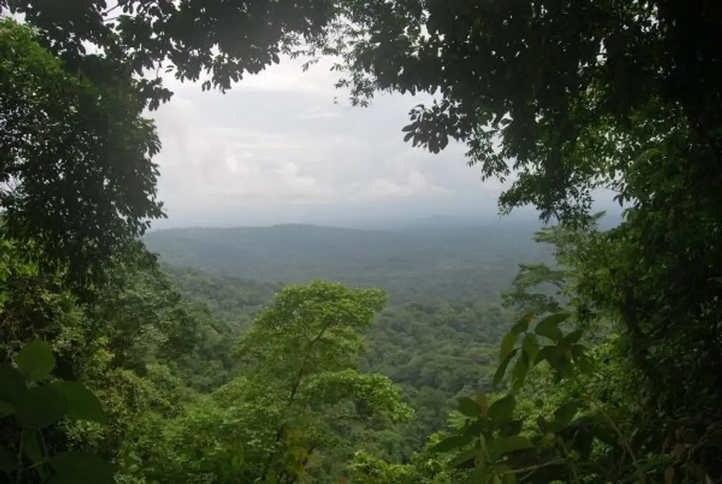 Darien National Park, Panama