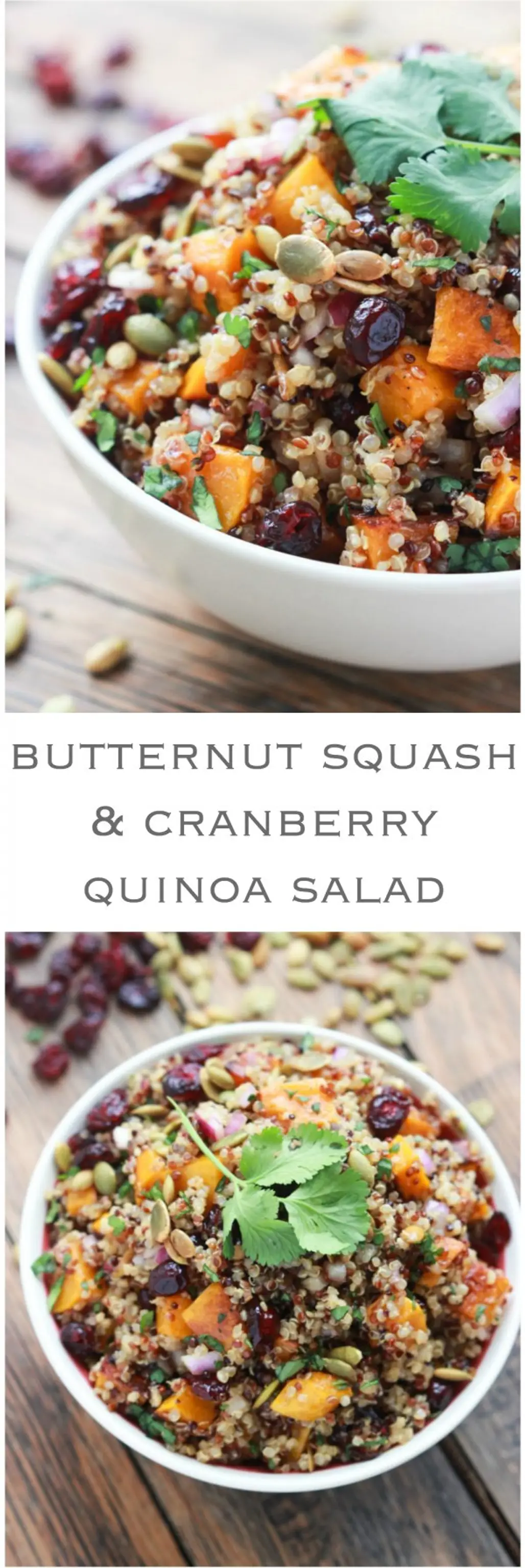 Butternut Squash and Cranberry Quinoa Salad
