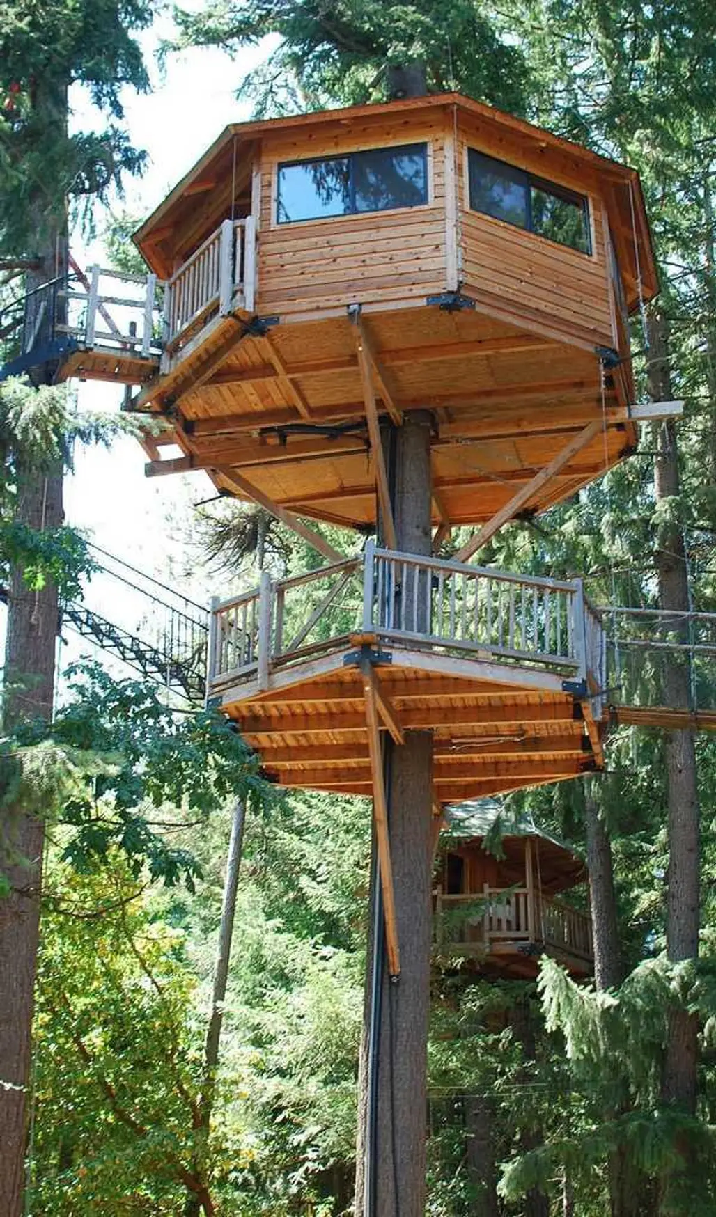 Stay in a Treesort in Cave Junction, Oregon, USA