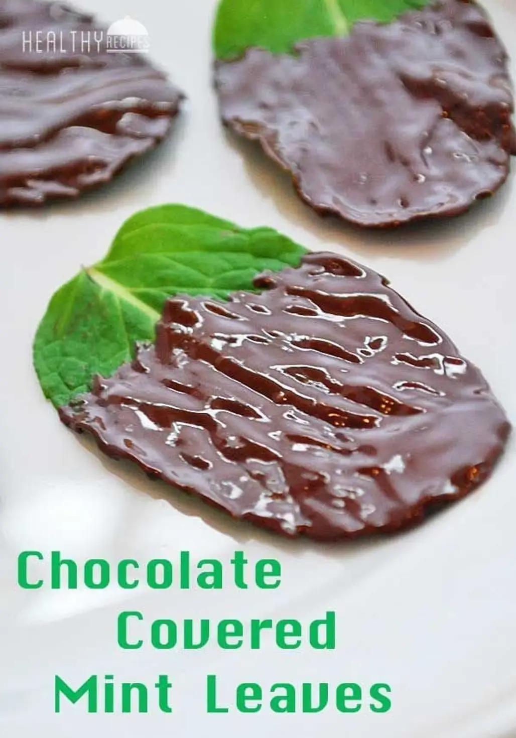 Chocolate Covered Mint Leaves