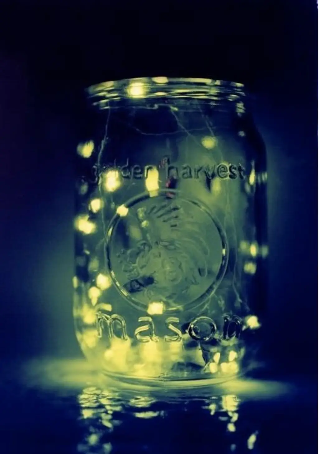 Catch Fireflies in a Jar