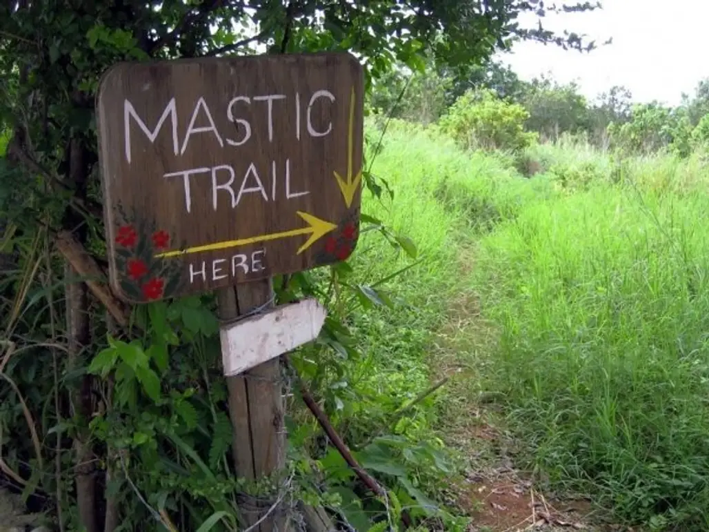 Walk the Mastic Trail