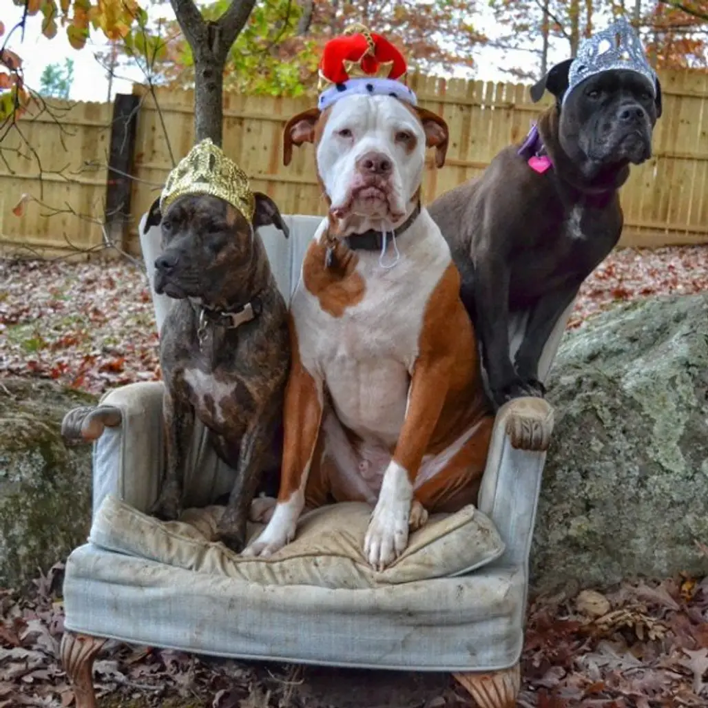 Three Pits in a Chair