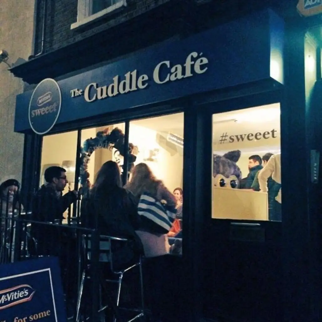 Cuddle Café