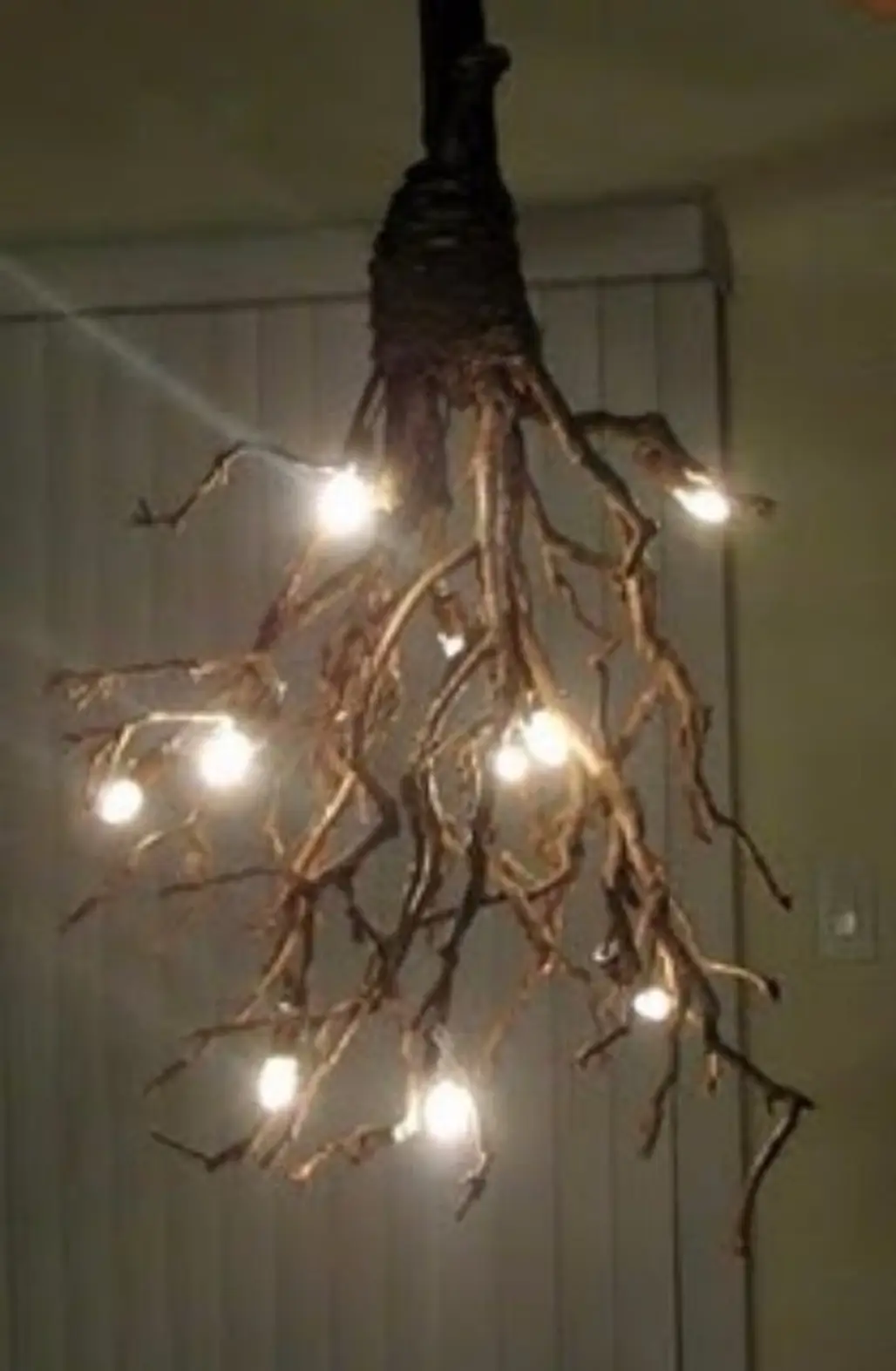 Bring Nature into Your Home with a DIY Branch Chandelier