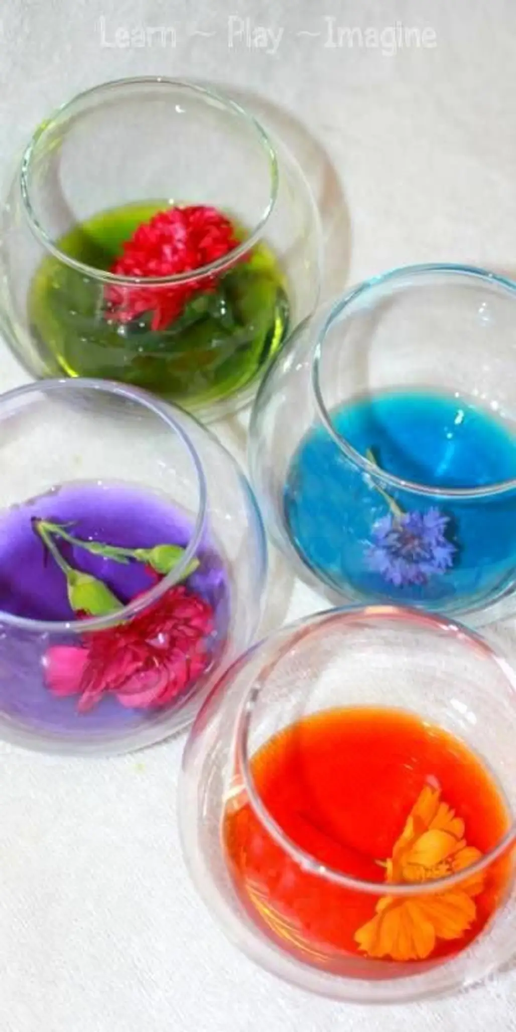 Homemade Natural Watercolors Made from Real Flowers