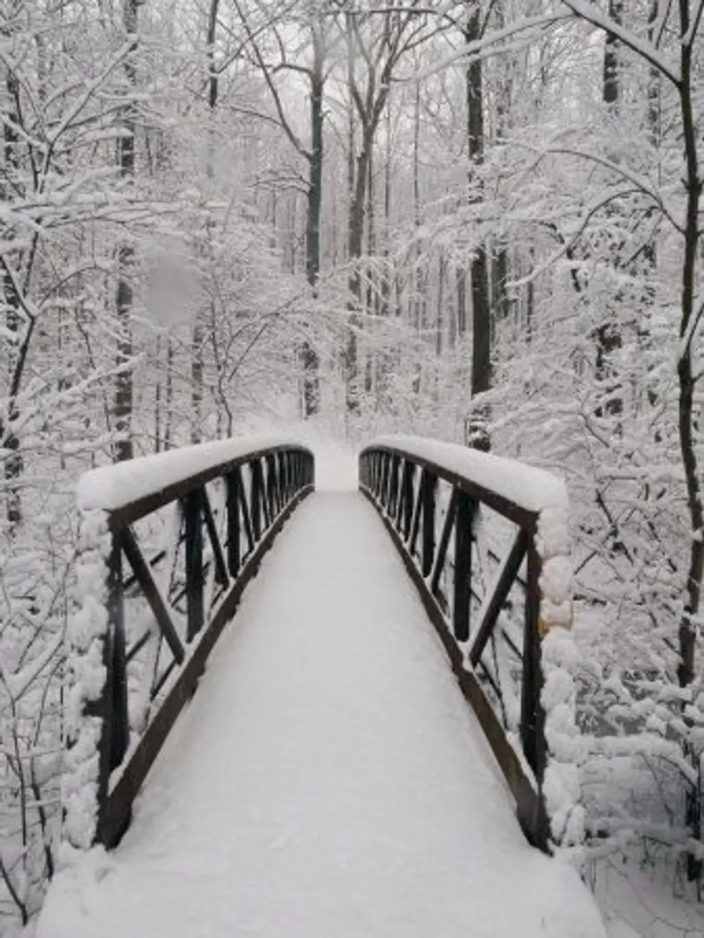 Another Snowy Bridge