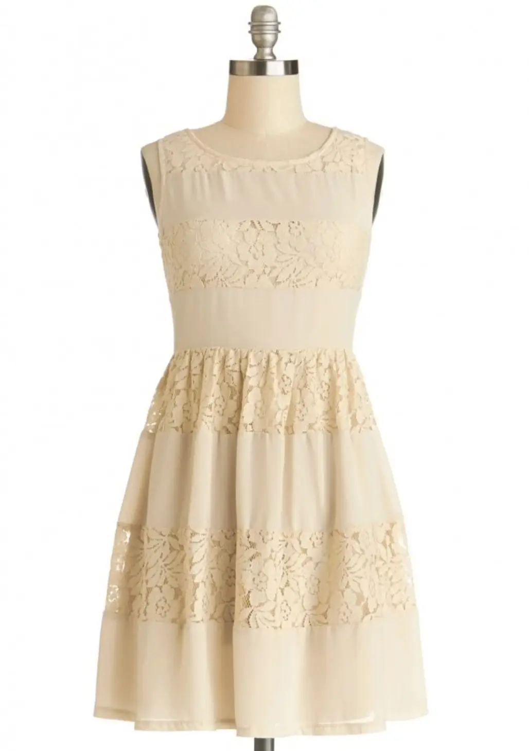 Lattes in Lace Dress