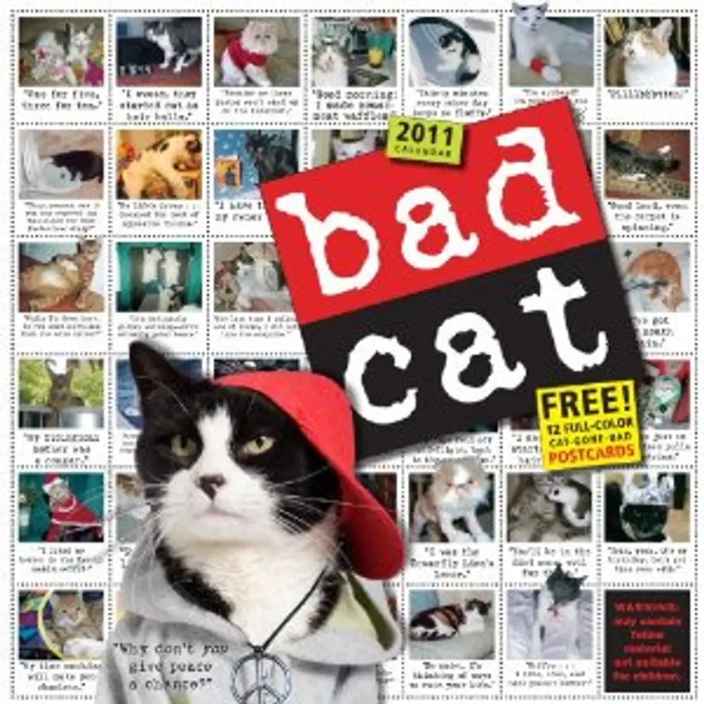 Bad Cat 2011 Wall Calendar