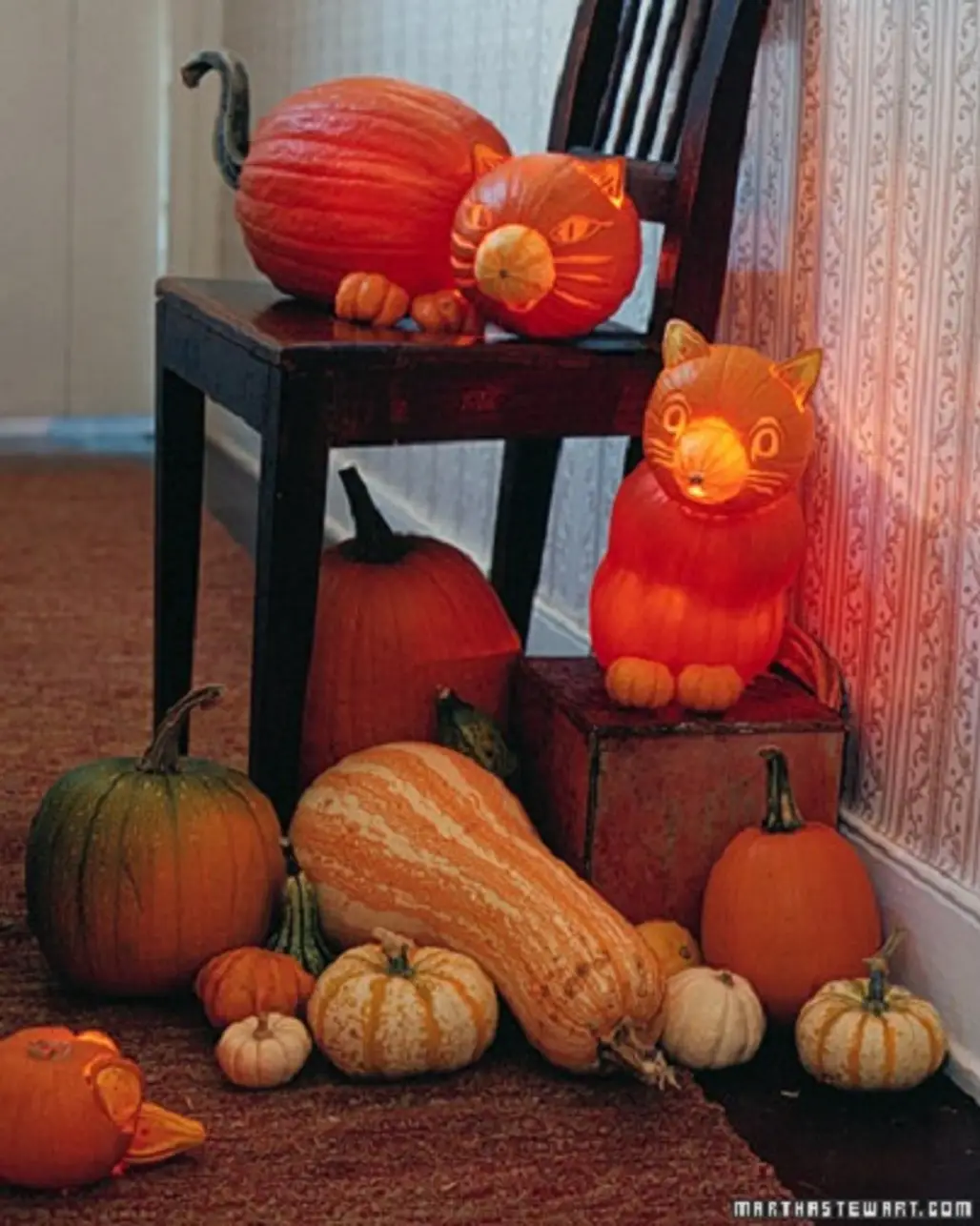 The Cat's Meow Pumpkin Carving Ideas...
