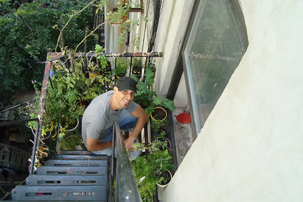 Urban Organic Gardener