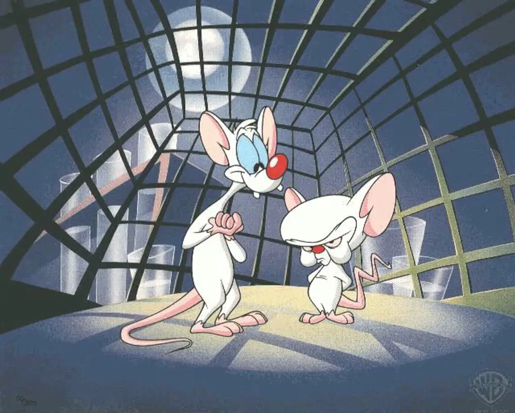 Pinky and the Brain, 1995-1998
