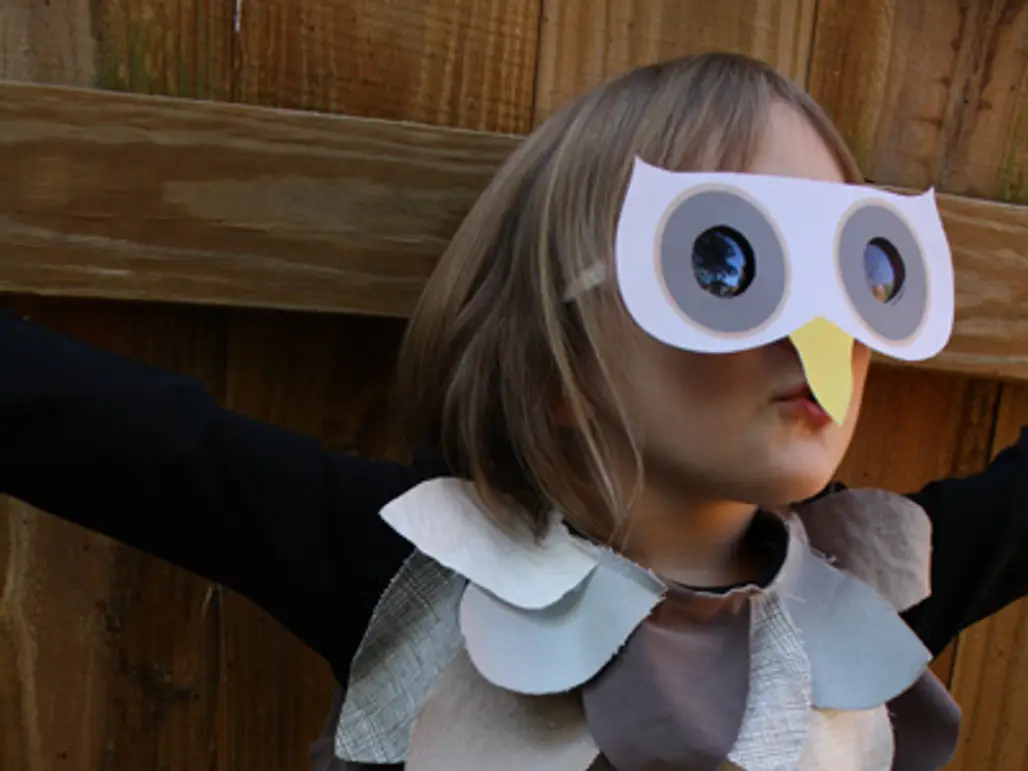 Owl Costume II