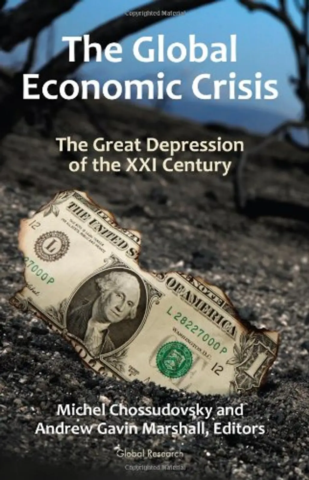 The Global Economic Crisis