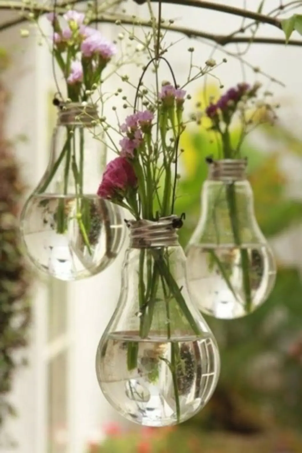 Light Bulb Hanging Vases