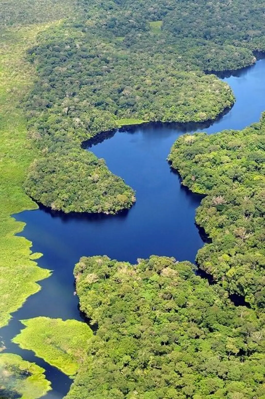 River Amazon near Manaus, Brazil