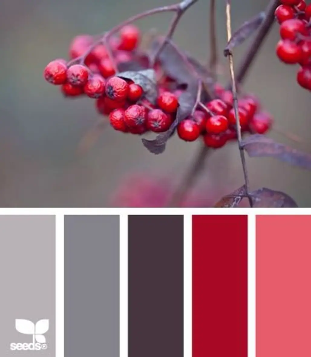 color,red,food,plant,produce,